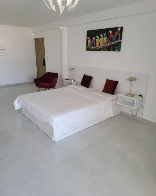 Hello Guyane, Suite Collection Cayenne Exterior photo