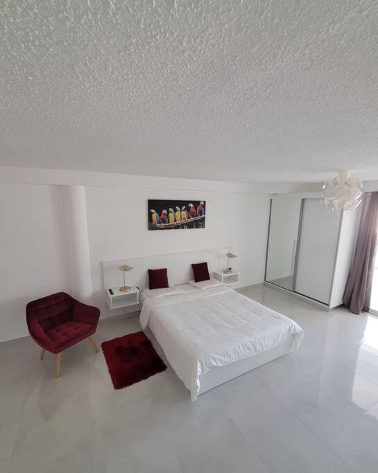 Hello Guyane, Suite Collection Cayenne Exterior photo